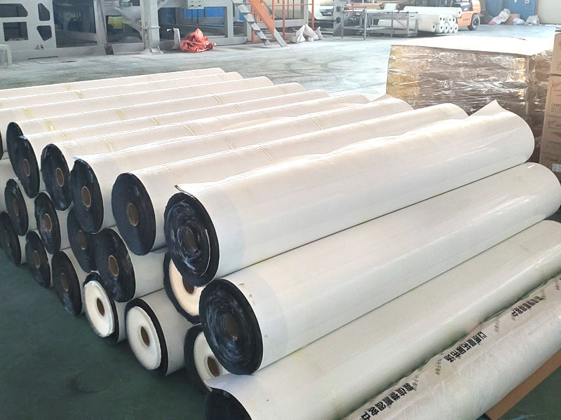 非沥青基自粘高分子防水卷材